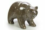 Realistic Polished Coquina Stone Bear - Philippines #308449-1